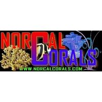 NorCal Corals coupons